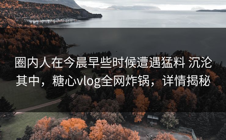 圈内人在今晨早些时候遭遇猛料 沉沦其中,糖心vlog全网炸锅,详情揭秘
