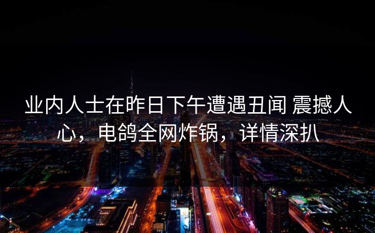 业内人士在昨日下午遭遇丑闻 震撼人心，电鸽全网炸锅，详情深扒