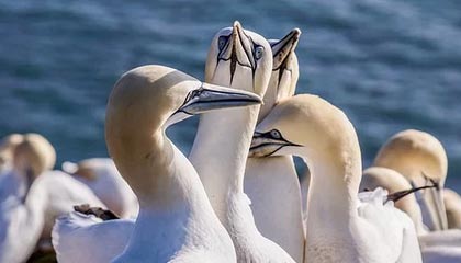 17c盘点:热点事件3大误区,网红上榜理由极其令人揭秘