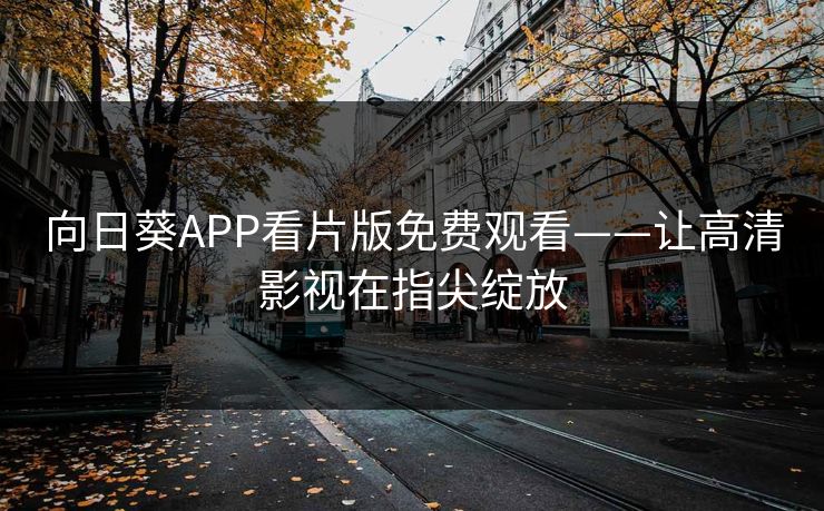 向日葵APP看片版免费观看——让高清影视在指尖绽放