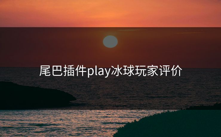 尾巴插件play冰球玩家评价