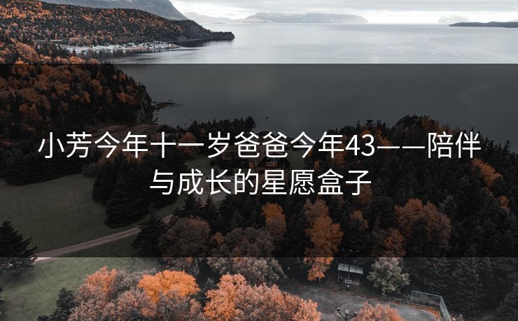 小芳今年十一岁爸爸今年43——陪伴与成长的星愿盒子