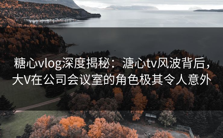 糖心vlog深度揭秘：溏心tv风波背后，大V在公司会议室的角色极其令人意外